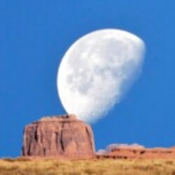 Profile photo of Seeking female friend/partner