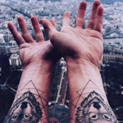 Profile picture of Shehan Perera