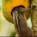 Profile photo of Aswin