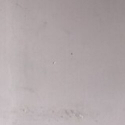Profile photo of Rishel