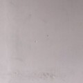 Profile photo of Rishel