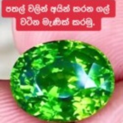 Profile photo of Kasun