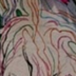 Profile photo of Shan
