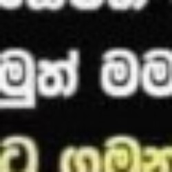 Profile photo of Geeth bandara