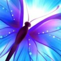 Profile photo of sudupetto1
