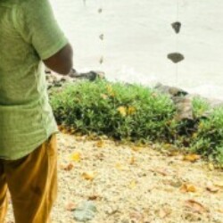 Profile photo of pradeep