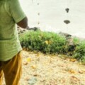 Profile photo of pradeep