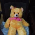 Profile photo of Sahan