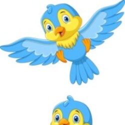 Profile picture of NADEE