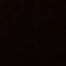 Profile photo of Taylor