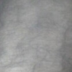 Profile photo of Maaas