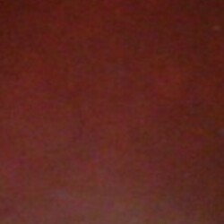 Profile photo of Lakshi les