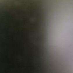 Profile photo of Mohan--