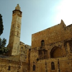 Profile photo of Mark