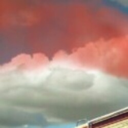 Profile picture of Shehani