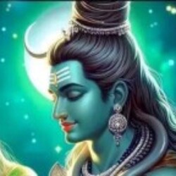 Profile photo of Shamil Fernando