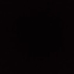 Profile photo of kalhara