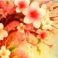 Profile photo of shehan