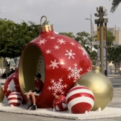 Profile photo of Abdul