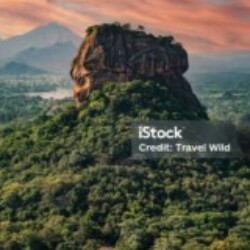 Profile photo of Jerad