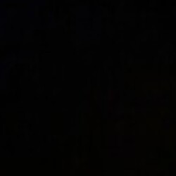 Profile photo of Shazan22