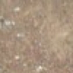 Profile photo of Mallith