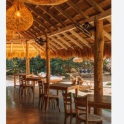 Profile photo of Trevor