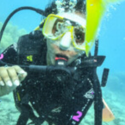 Profile photo of weekee