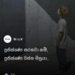 Profile photo of janaka90