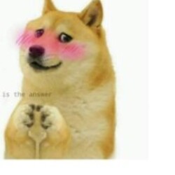 Profile photo of Harsha suBASINGHE