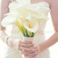 Profile picture of Nira Wijesinghe