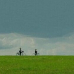 Profile photo of M123