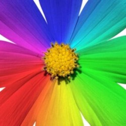 Profile photo of Nipun2024