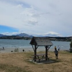 Profile picture of Sash