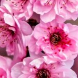 Profile picture of Prasath Ravi