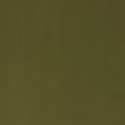 Profile picture of Sayuri Madhushika