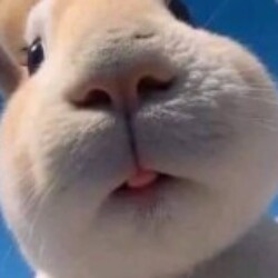 Profile picture of Kavinda