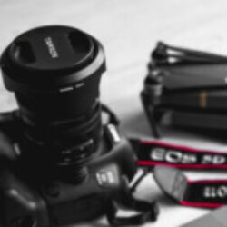 Profile photo of Fernando