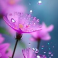Profile photo of Vindya