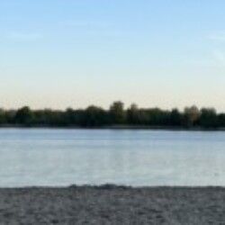 Profile picture of Nipuna Thanura