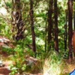 Profile picture of Geeth Anjana Ariyasinghe