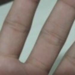 Profile picture of Rocky