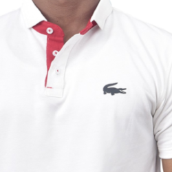 Profile photo of Bat