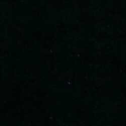 Profile photo of Rash