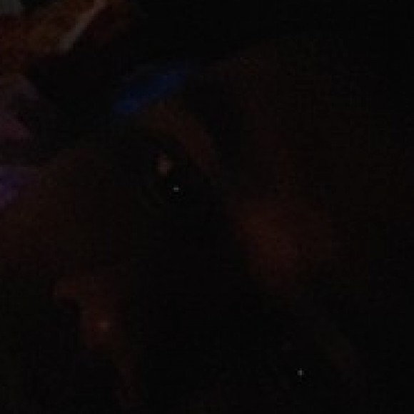 Profile photo of Sadamali silva