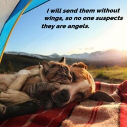 Profile photo of Patricia