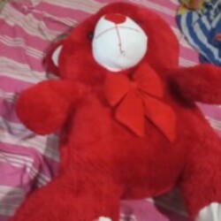 Profile photo of Darshani