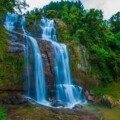Profile photo of sathsara