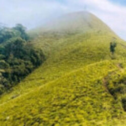 Profile photo of Deneth5
