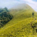 Profile photo of Deneth5